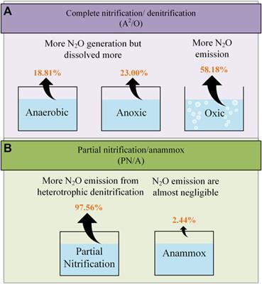 Frontiers | N2O Emission Reduction In The Biological Nitrogen Removal ...